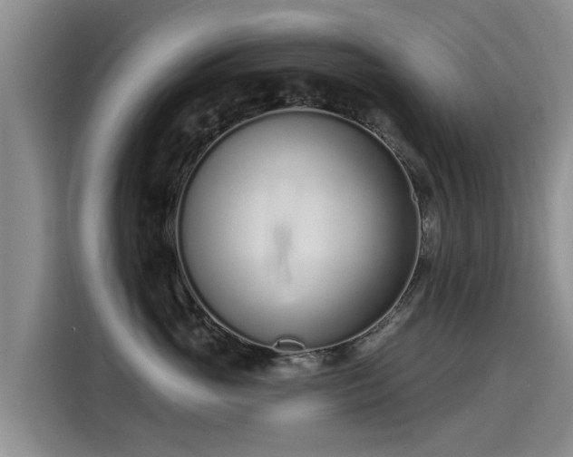 X0000115250765200911061218