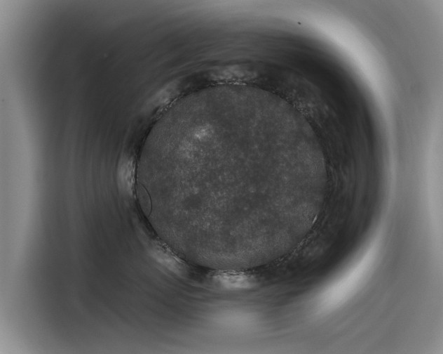X0000115250767200911061218