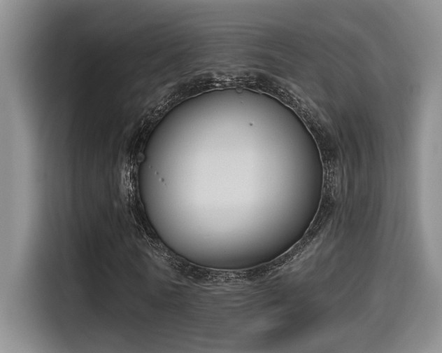 X0000115250770200911061218