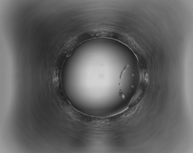 X0000115250771200911061218