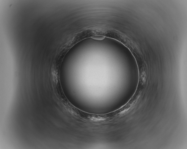 X0000115250772200911061218
