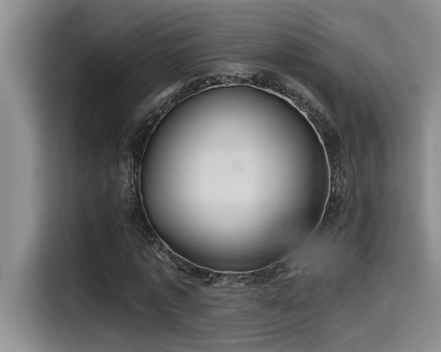 X0000115250773200911061218