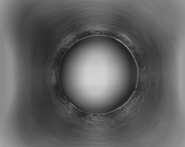 X0000115250774200911061218