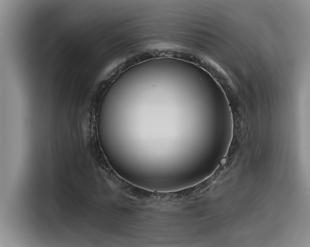 X0000115250775200911061218