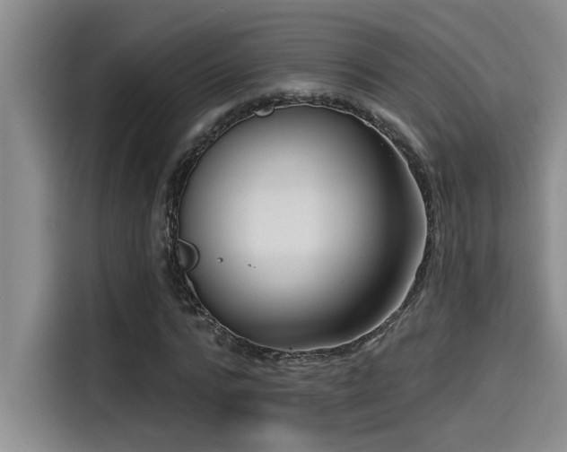 X0000115250776200911061218