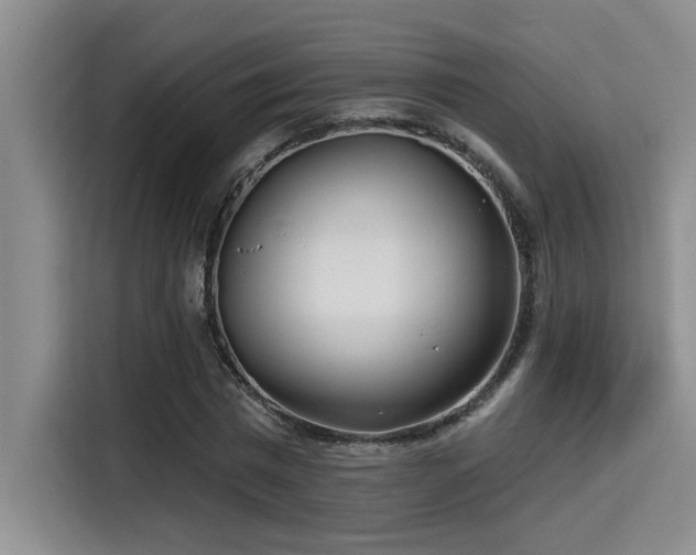 X0000115250777200911061218