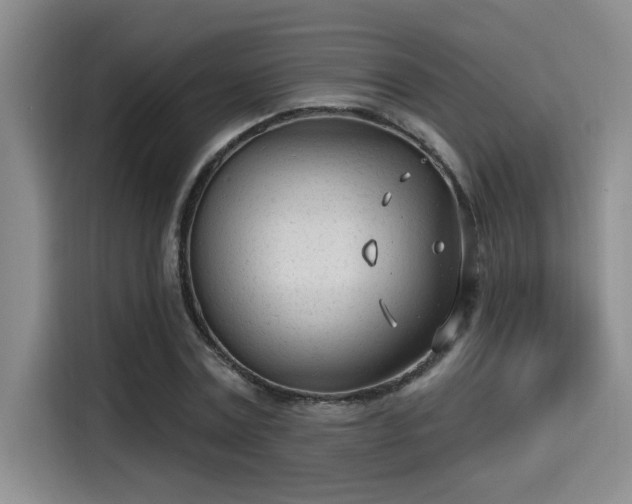 X0000115250779200911061218