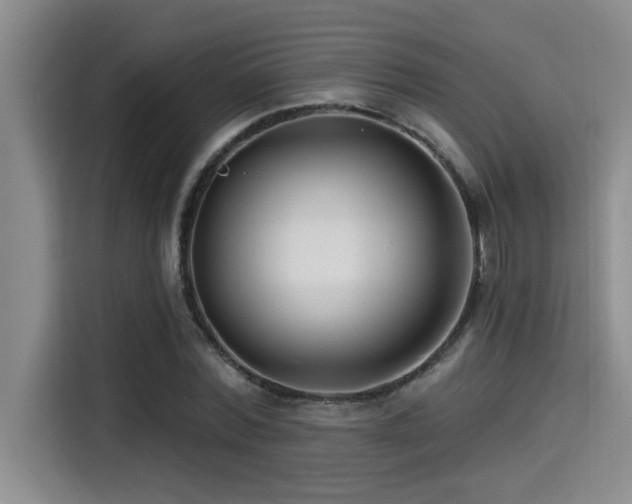 X0000115250780200911061218
