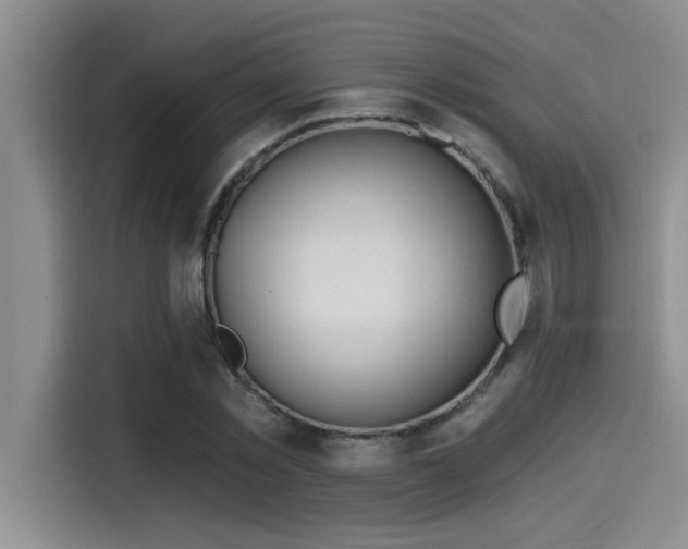 X0000115250781200911061218