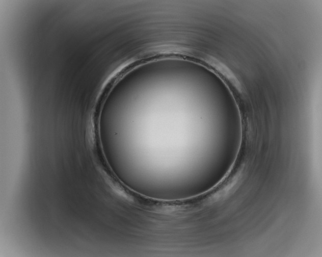 X0000115250782200911061218