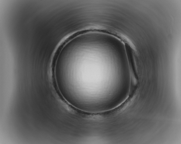 X0000115250784200911061217