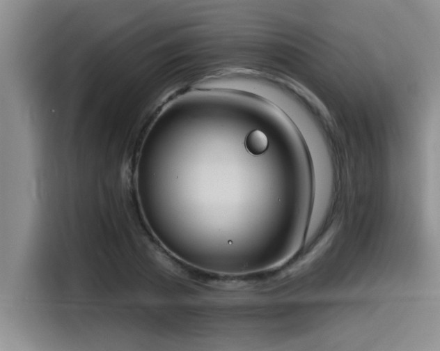 X0000115250785200911061217