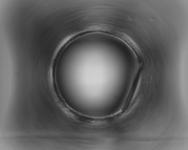 X0000115250788200911061217