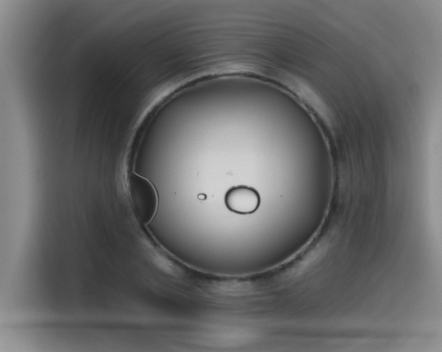 X0000115250789200911061217