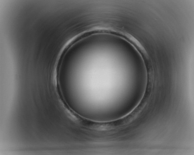 X0000115250791200911061217