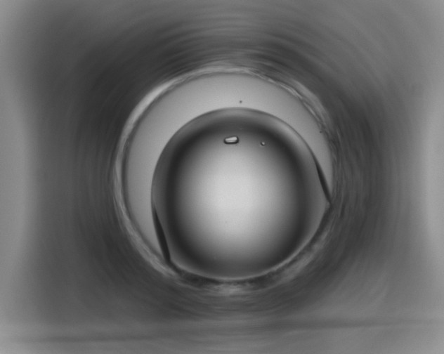 X0000115250796200911061217