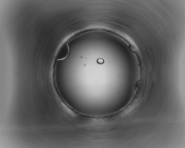 X0000115250799200911061217