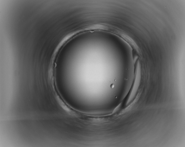 X0000115250800200911061217
