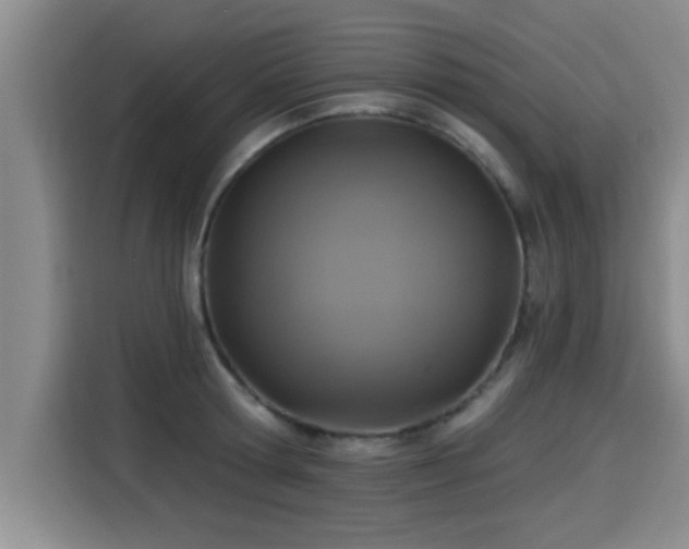 X0000115250802200911061217