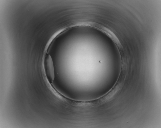 X0000115250804200911061217