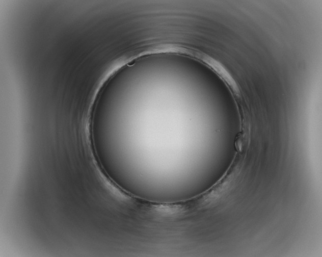 X0000115250805200911061217