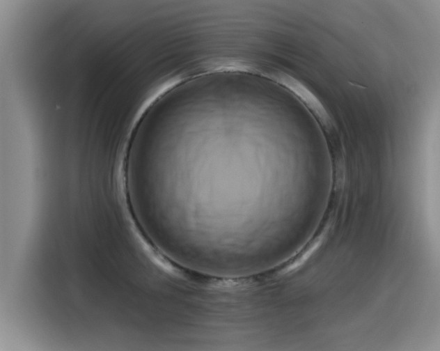 X0000115250806200911061217