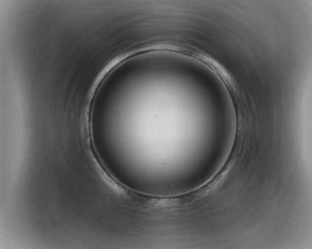X0000115250808200911061217