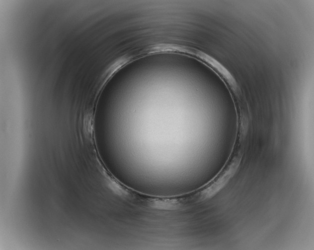 X0000115250809200911061217