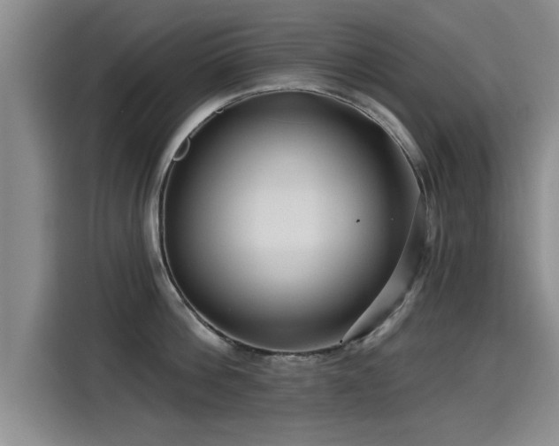 X0000115250812200911061217