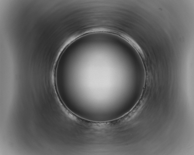 X0000115250813200911061217