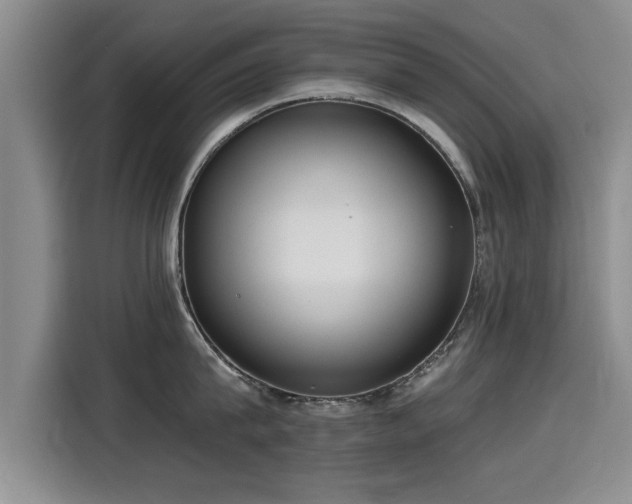 X0000115250815200911061217