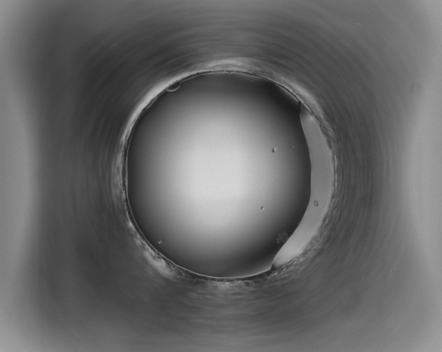 X0000115250816200911061217
