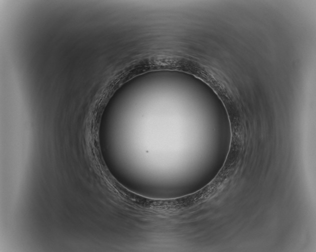 X0000115250817200911061216