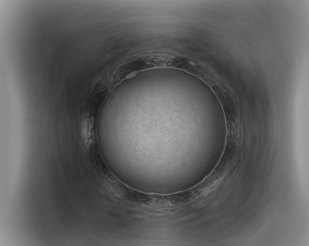 X0000115250818200911061216