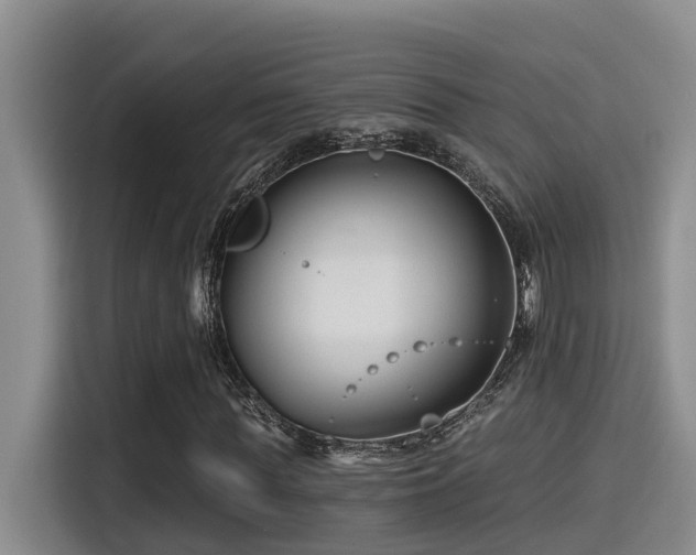 X0000115250819200911061216