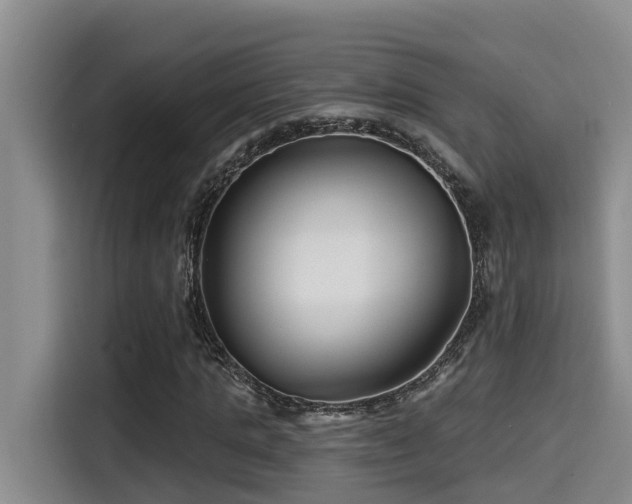X0000115250821200911061217