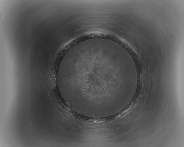 X0000115250822200911061217