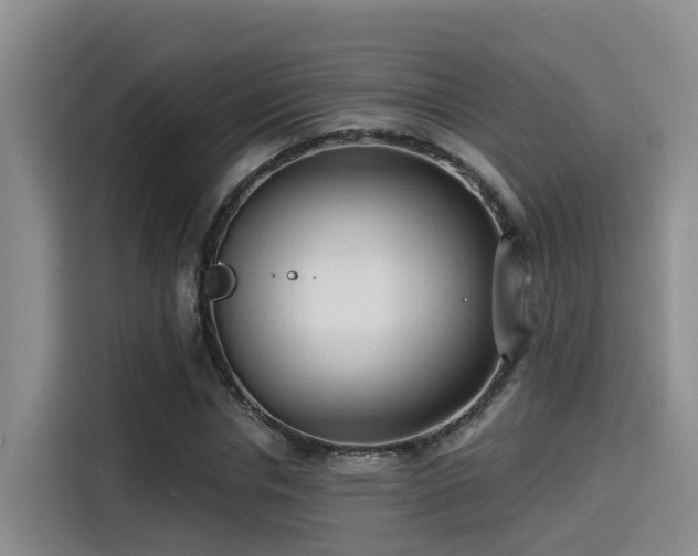 X0000115250826200911061217