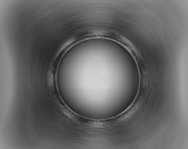 X0000115250827200911061217