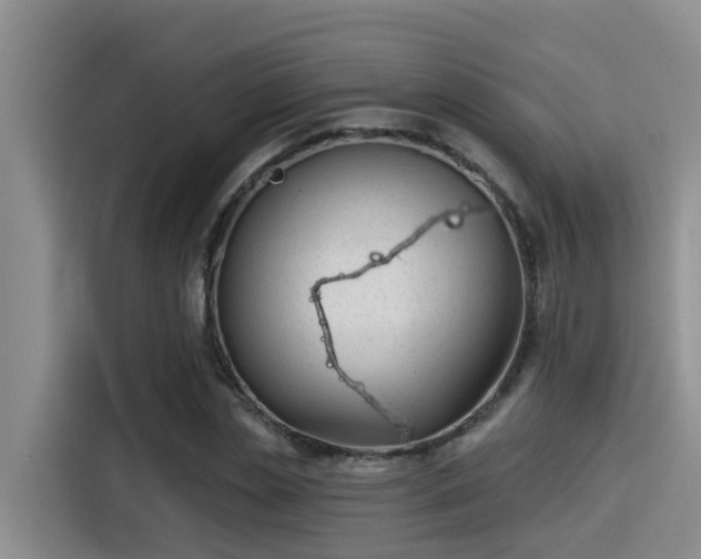 X0000115250829200911061217
