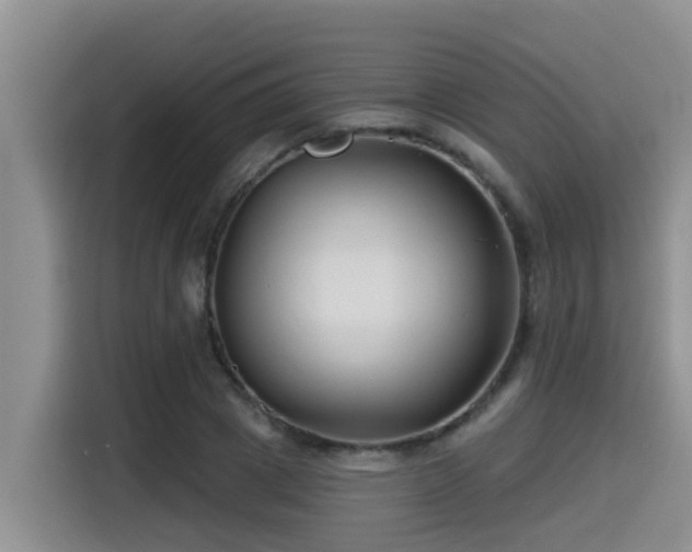 X0000115250833200911061217