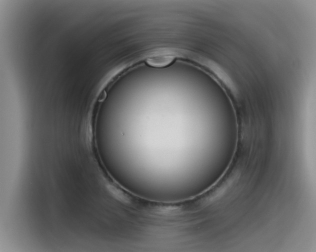 X0000115250837200911061217