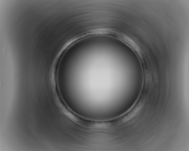 X0000115250843200911061217