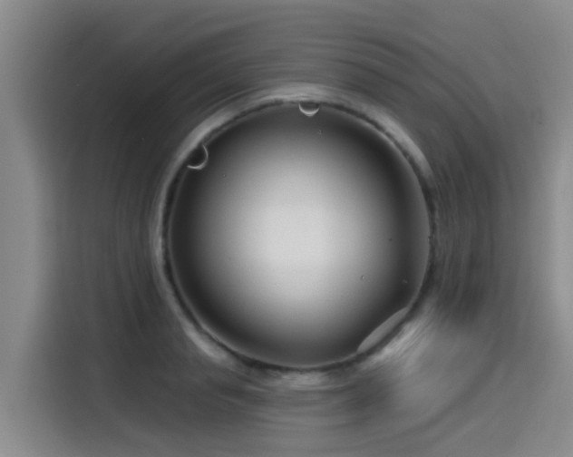 X0000115250845200911061217