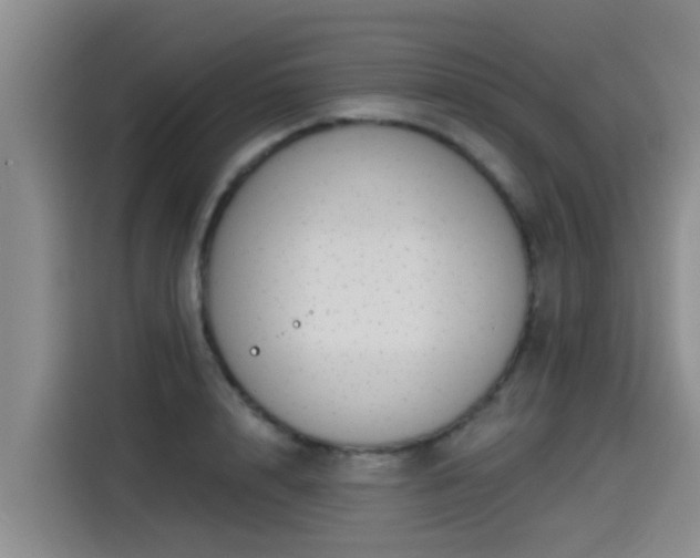 X0000115250848200911061217