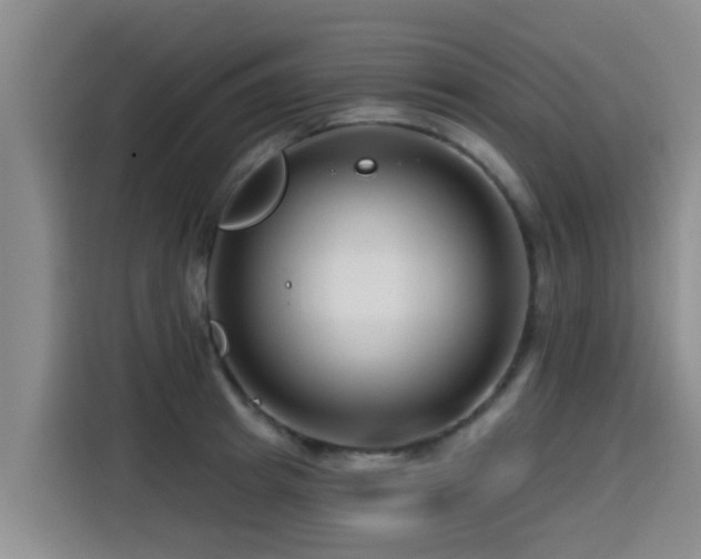 X0000115250849200911061217
