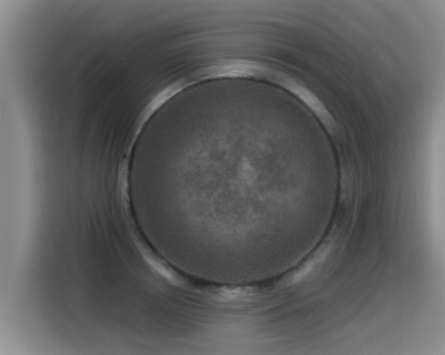 X0000115250850200911061217