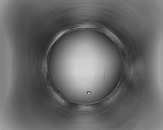 X0000115250852200911061217