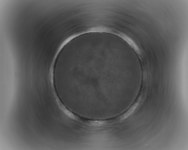 X0000115250854200911061217