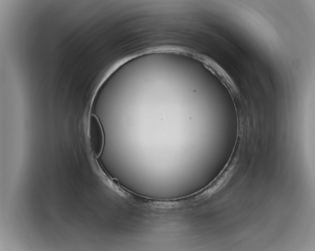 X0000115250860200911061217